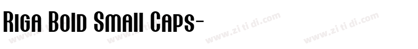 Riga Bold Small Caps字体转换 Riga Bold Small Caps字体转换